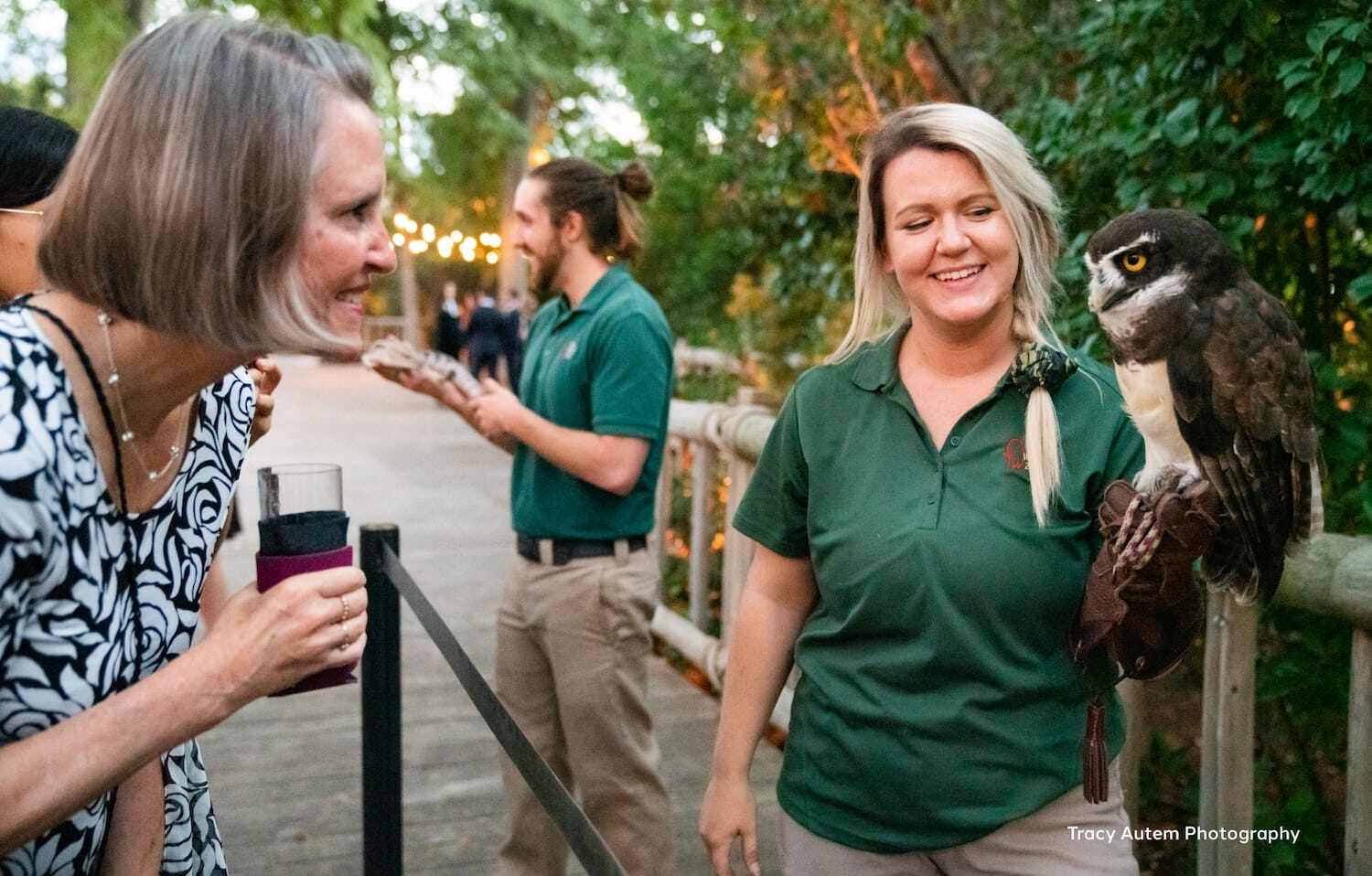 zoo owl at wedding